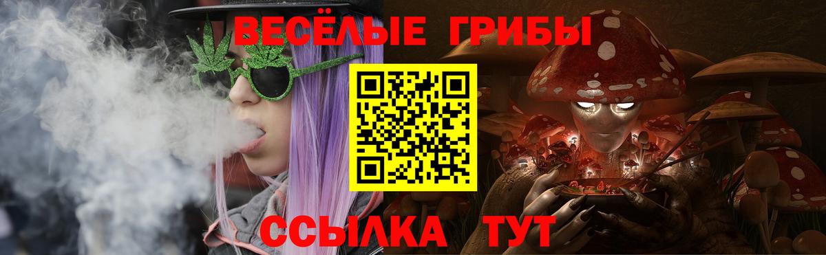 Иваново  Галлюциногенные грибы MAGIC MUSHROOMS  Вход с VPN  Псилоцибиновые грибы ЛСД 